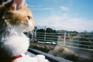 拡張する現代写真について思うこと