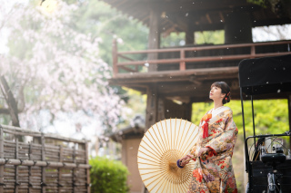桜・川越前撮り【本日の一枚】