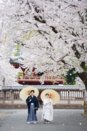 素敵な桜フォトでした^^