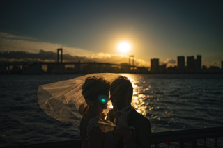 【本日の一枚】