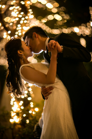 【本日の一枚】