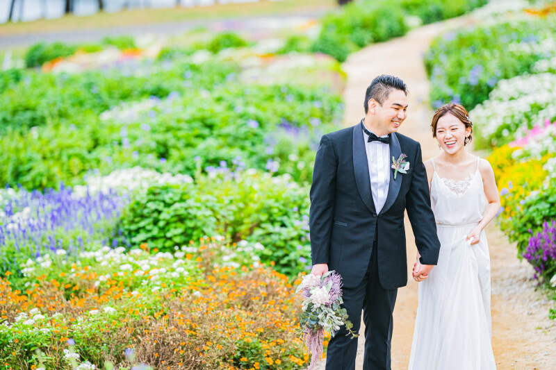 【本日の一枚】