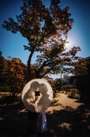 【本日の一枚】