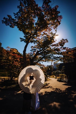 【本日の一枚】