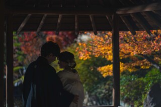 【本日の一枚】