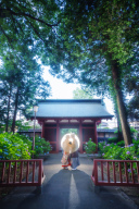 川越前撮り【本日の一枚】