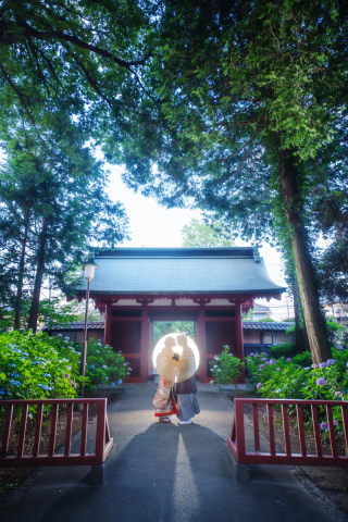 川越前撮り【本日の一枚】