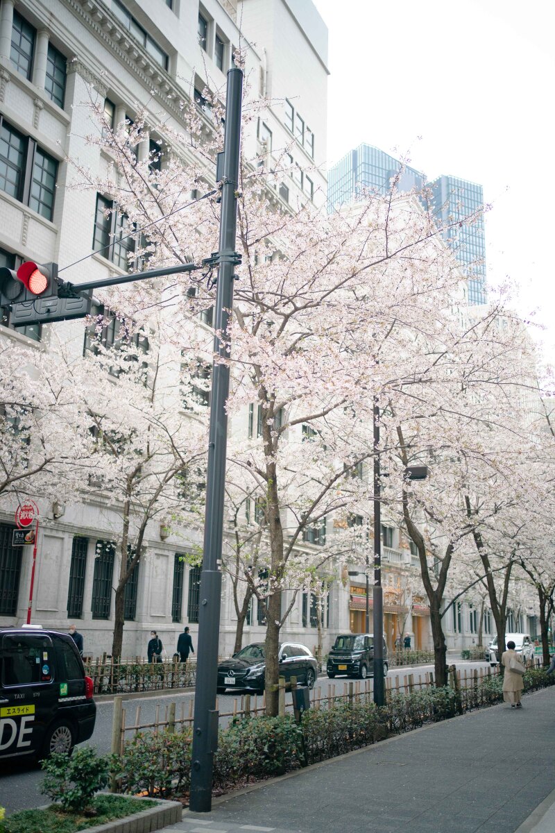 【本日のロケ地】