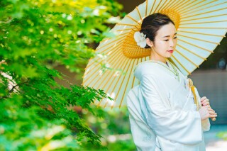 【本日の一枚】