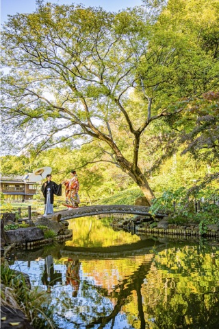 【本日の一枚】