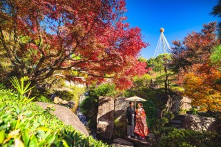 紅葉【本日の一枚】