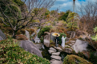 【本日の一枚】