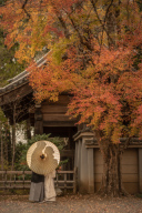 川越前撮り【本日の一枚】