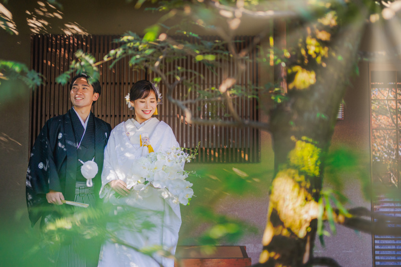 目白庭園【本日の一枚】