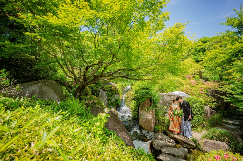 目白庭園【本日の一枚】