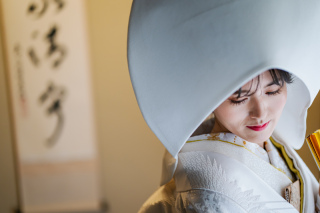 【本日の一枚】