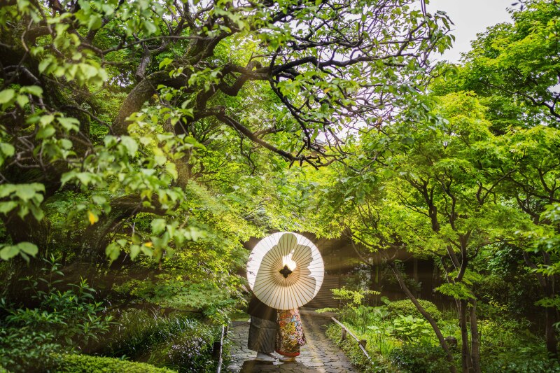 【美しい撮影をお届けしたい】