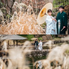 【本日の一枚】