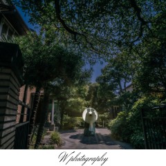 川越前撮り【本日の一枚】