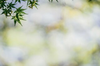 【ご家族と一緒に撮影可能です♪】