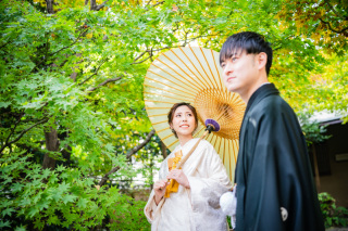 【本日の一枚】