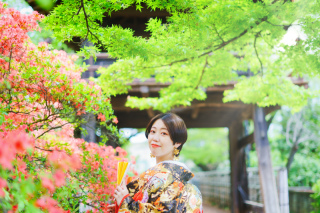 川越前撮り【本日の一枚】