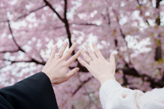 【桜前撮り】キャンセル枠ございます