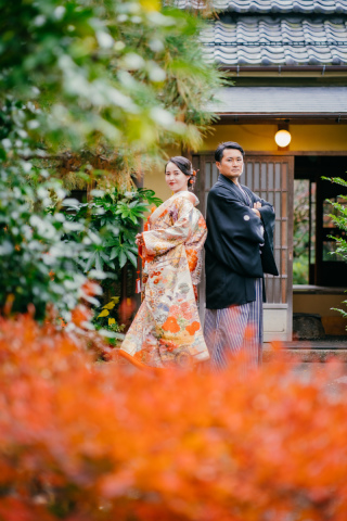 【本日の一枚】