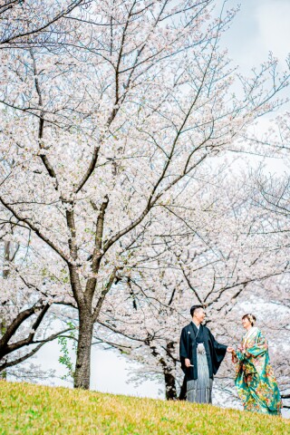 桜・川越前撮り【本日の一枚】