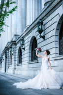 【本日の一枚】