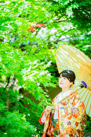 【本日の一枚】