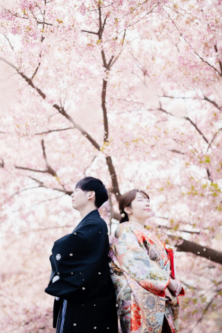 ＜早割あり＞桜ロケ受付スタート