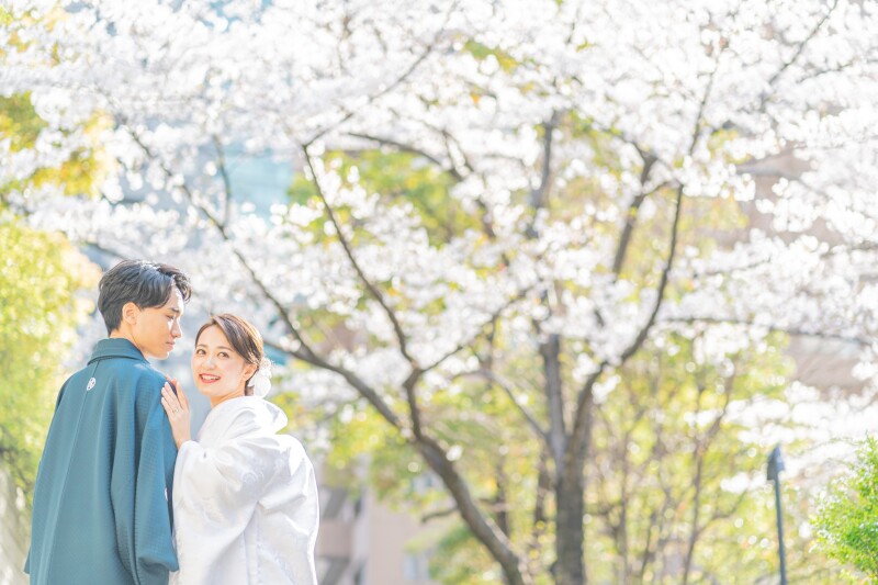 まだ間に合う桜前撮りプラン