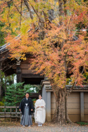 川越前撮り【本日の一枚】