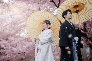 桜・川越前撮り【本日の一枚】