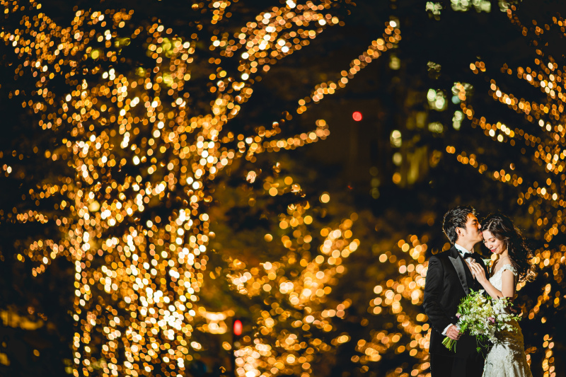 【本日の一枚】