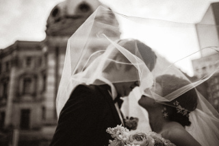 【本日の一枚】