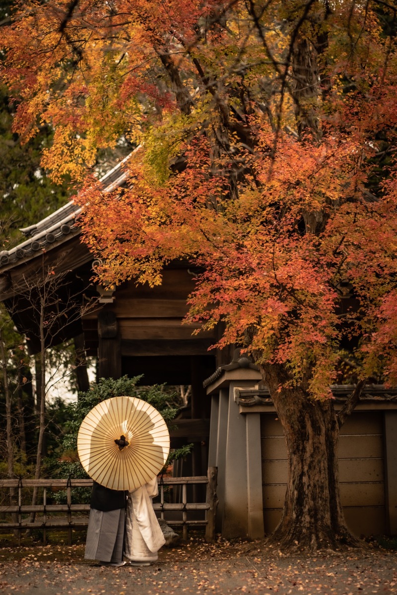 川越前撮り【本日の前撮り】