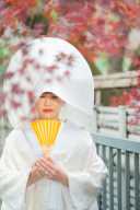 川越前撮り【本日の一枚】