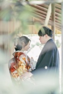 【本日の一枚】