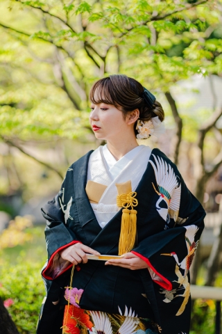 【本日の一枚】