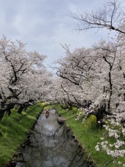 【ブログ特典】2ヶ月前のお申し込みで♪