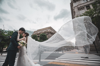 【本日の一枚】