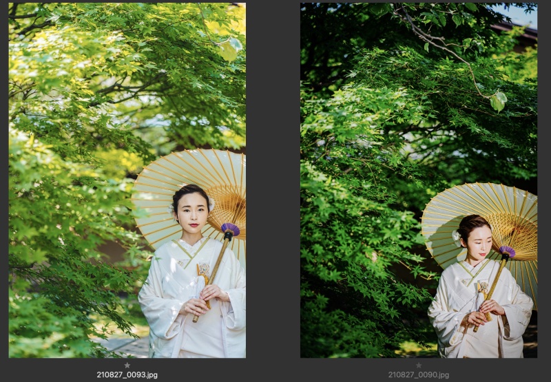 変わる印象【本日の一枚】