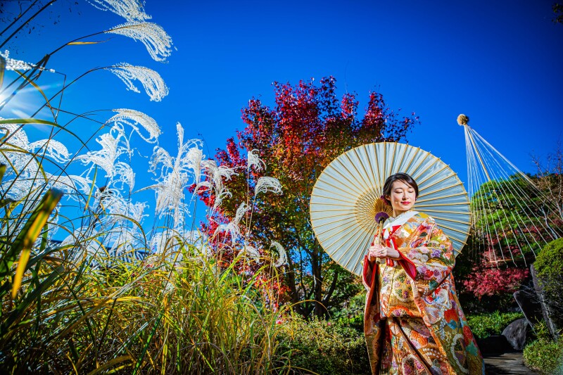 目白庭園【本日の一枚】
