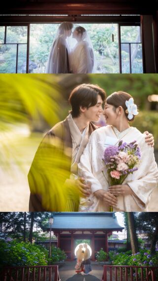 川越前撮り【本日の一枚】