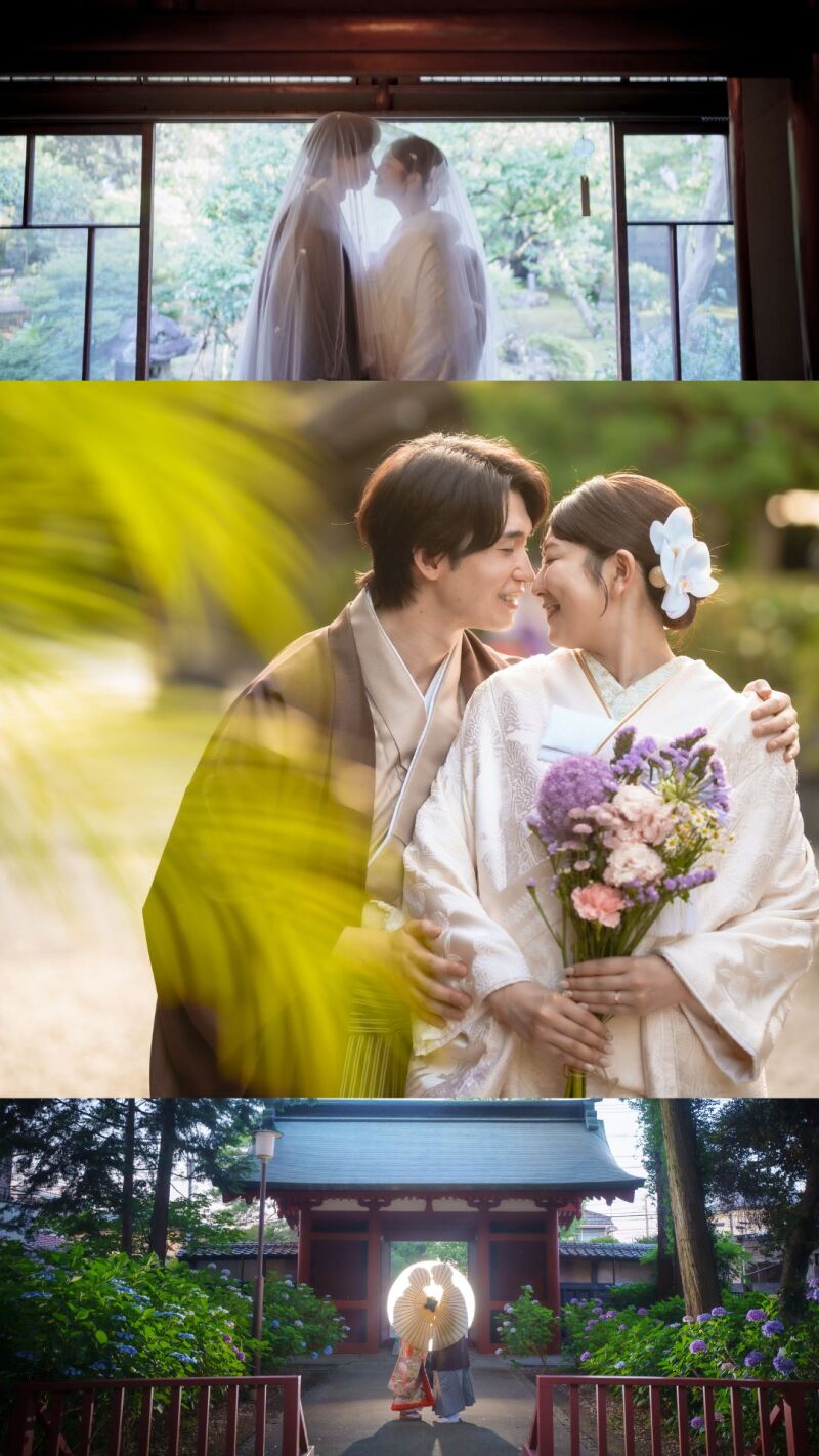 川越前撮り【本日の一枚】