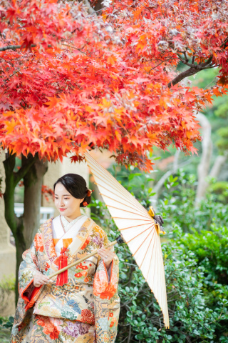 【本日の一枚】