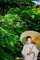 【本日の一枚】