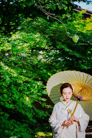 【本日の一枚】